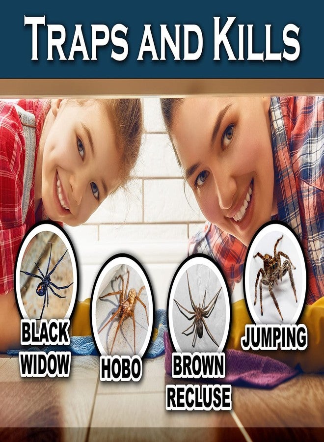 MaxGuard Spider + Insect Traps (12 pcs Box Trap) | Non-Toxic Extra Sticky Glue Traps, Kill Black Widow Hobo Brown Recluse Spiders and Other Crawling Bugs & Insects | - Image 4